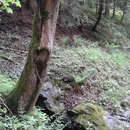 Moderne Anna 6a شقة *